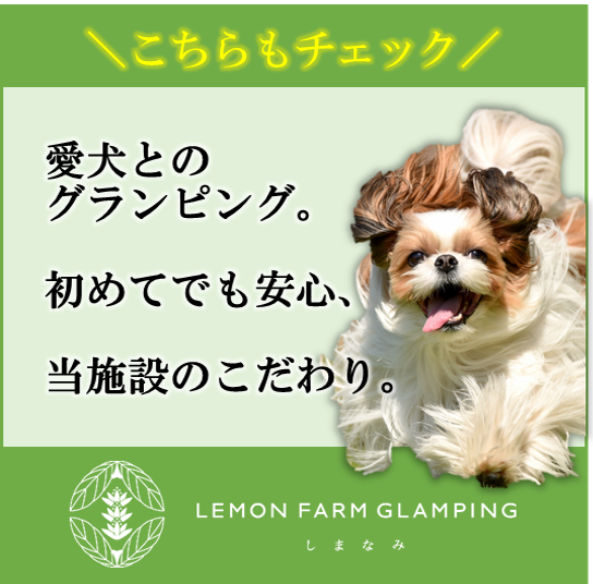 ドッグラン