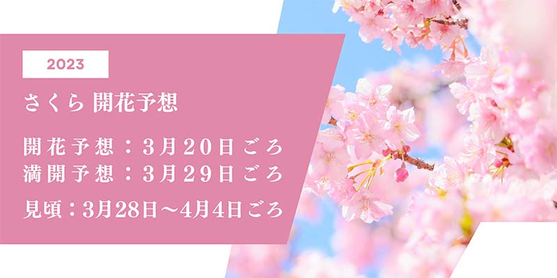 2023開花予想